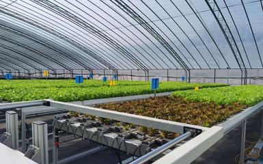 阿里云 智能農業的領航者，高科技助新農人畝產躍升六倍