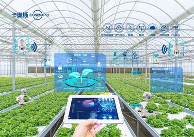 卡奧斯海優(yōu)禾入選農(nóng)業(yè)農(nóng)村部信息中心優(yōu)秀案例 科技點(diǎn)亮田間，智能管理賦能鄉(xiāng)村振興